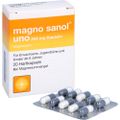 MAGNO SANOL uno 243 mg Kapseln