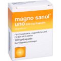 MAGNO SANOL uno 243 mg Kapseln