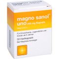 MAGNO SANOL uno 243 mg Kapseln