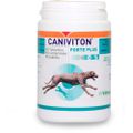 CANIVITON Forte Plus Erg.Futterm.Tbl.f.Hund/Katze