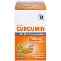 CURCUMIN 500 mg 95% Curcuminoide+Piperin Kapseln