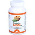 BOSWELLIA MSM forte Dr.Jacob&#039;s Tabletten