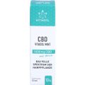 CBD 10% Bio Hanfextrakt Öl Vitadol mint