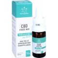 CBD 10% Bio Hanfextrakt Öl Vitadol mint