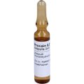 PROCAIN pharmarissano 0,5% Inj.-Lsg.Ampullen 2 ml