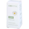 CBD VITAL CBD Handcreme