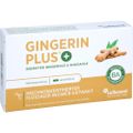 GINGERIN PLUS Kapseln