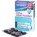 CISTUS INFEKT Pastillen sanotact