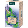 KNEIPP Kräutertee Gute Nacht Tee Filterbeutel