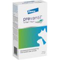 PREVANTIL vital-kur Suspension f.Hunde/Katzen