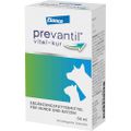 PREVANTIL vital-kur Suspension f.Hunde/Katzen