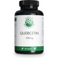 GREEN NATURALS Quercetin 500 mg hochdosiert Kaps.