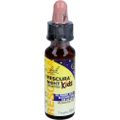 Bach RESCURA® NIGHT Kids Tropfen, 10ml