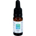 CBD 20% ADREXOL Tropfen