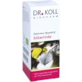 GEMMO Mazerat Silberlinde Dr.Koll Tilia tomentosa