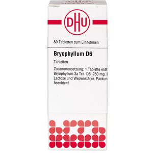 Bryophyllum D 6 Tabletten 80 St 80 St