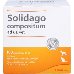 SOLIDAGO COMPOSITUM ad us.vet.Ampullen