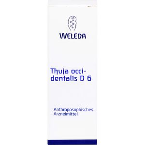 THUJA OCCIDENTALIS D 6 Dilution