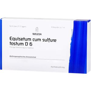 EQUISETUM CUM Sulfure tostum D 6 Ampullen