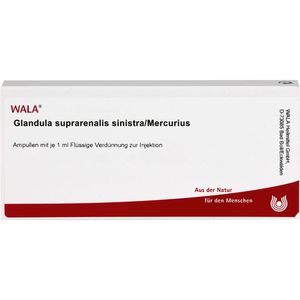 Wala Glandula Suprarenalis sinistra/Mercurius Ampullen 10 ml 10 ml