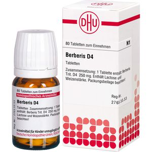 Berberis D 4 Tabletten 80 St