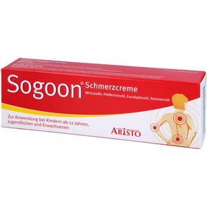 Sogoon Schmerzcreme 100 g 100 g