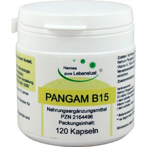PANGAM Vitamin B15 Kapseln