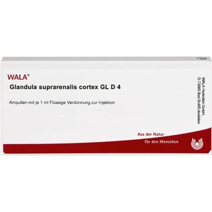 GLANDULA SUPRARENALIS cortex GL D 4 Ampullen