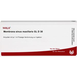 MEMBRANA sinus maxillaris GL D 30 Ampullen