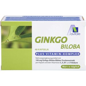 GINKGO 100 mg Kapseln+B1+C+E