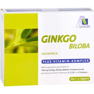 GINKGO 100 mg Kapseln+B1+C+E