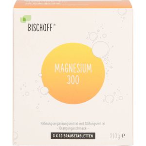 MAGNESIUM BRAUSETABLETTEN 300