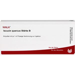 WALA ISCUCIN quercus Stärke B Ampullen