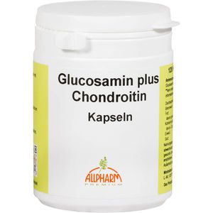Glucosamin+Chondroitin Kapseln 120 St 120 St