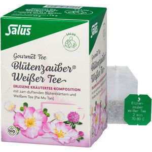 WEISSER TEE Blütenzauber Bio Salus Filterbeutel