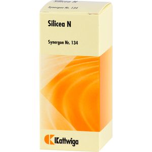 SYNERGON KOMPLEX 134 Silicea N Tabletten