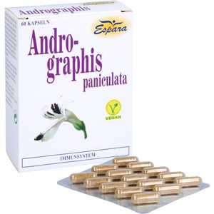 ANDROGRAPHIS paniculata Kapseln
