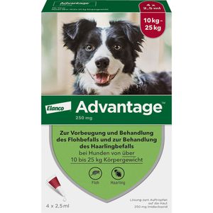 Advantage 250 Lösung f.Hunde 10-25 kg 4 St 4 St