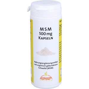 Msm 500 mg Kapseln 100 St