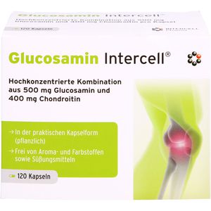 Glucosamin Intercell Kapseln 120 St 120 St