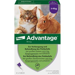 Advantage 80 mg f.gr.Katzen u.gr.Zierkaninchen 3,2 ml