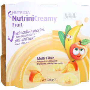 NUTRINI Creamy Fruit Sommerfrüchte
