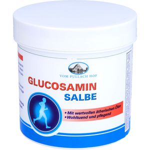 Glucosamin Salbe 250 ml 250 ml