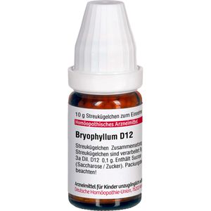 BRYOPHYLLUM D 12 Globuli