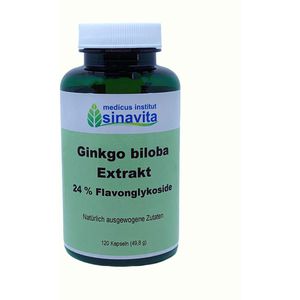 GINKGO BILOBA EXTRAKT 24% Flavonglykoside Kapseln