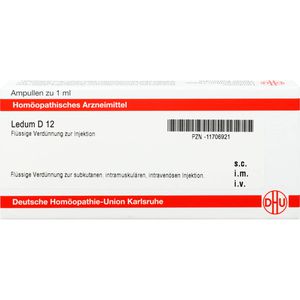 LEDUM D 12 Ampullen