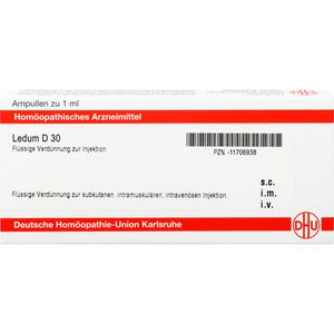 LEDUM D 30 Ampullen