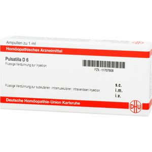 Pulsatilla D 6 Ampullen 8 ml 8 ml