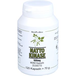 NATTOKINASE 100 mg Mono 20.000 FU Kapseln