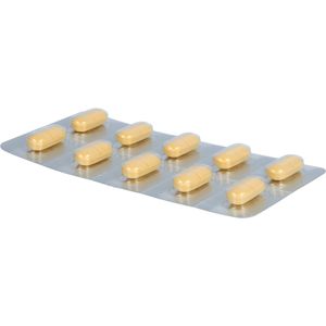 GINGIUM 240 mg Filmtabletten